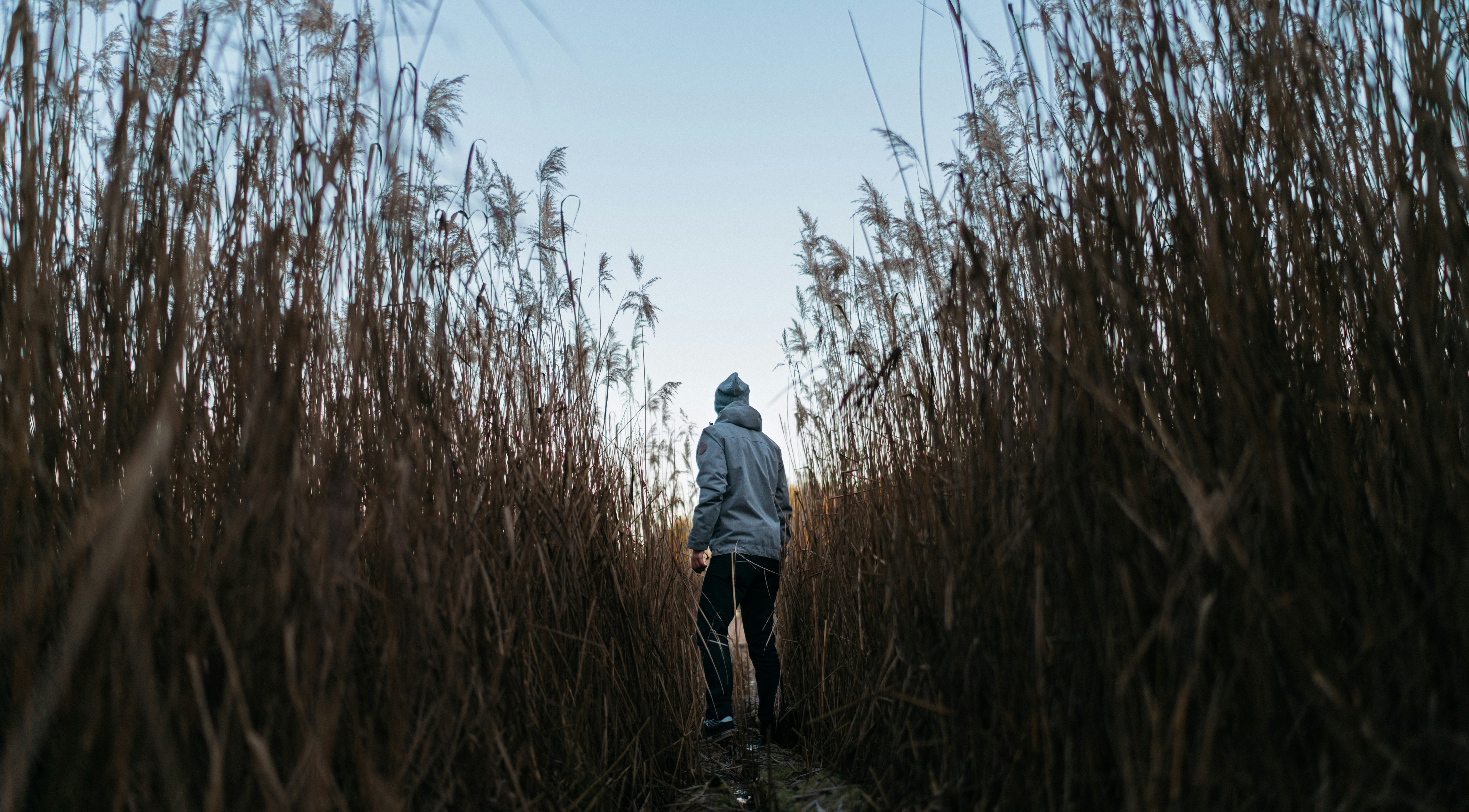 man walking near narrow road